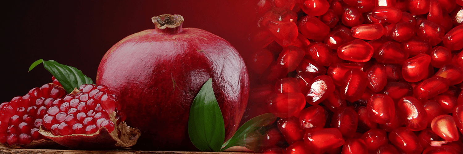 Global Export Network